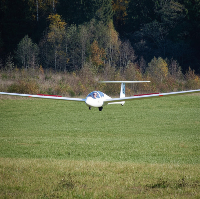 Полёт на планере Twin Astir в Москве