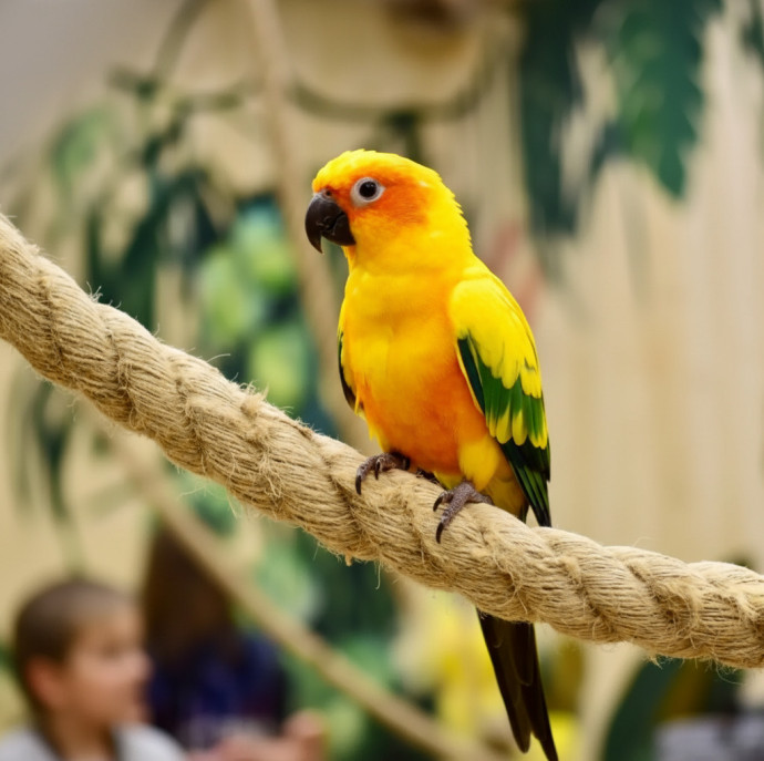 Галерея птиц Попугайня в Москве