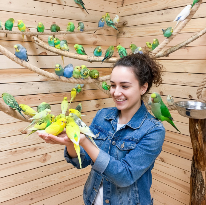 Галерея птиц Попугайня в Москве