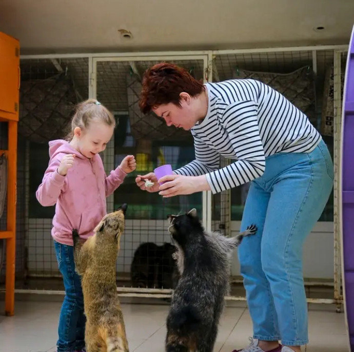 Планета енотов в Москве