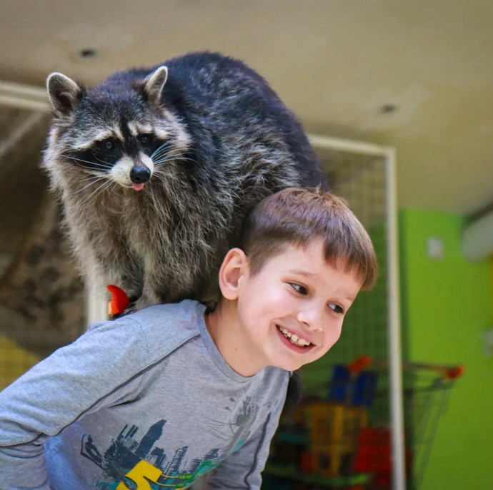 Планета енотов в Москве