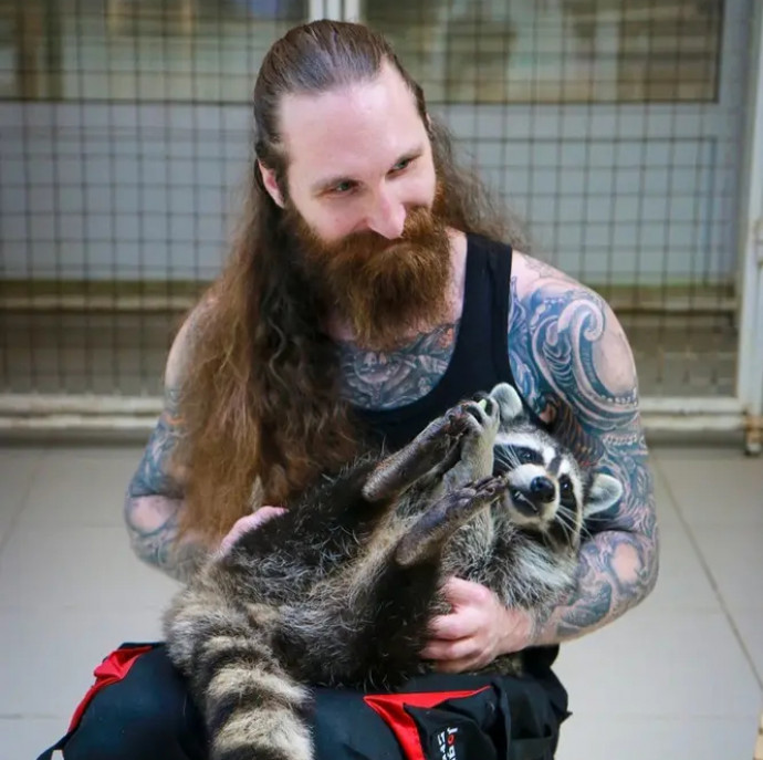 Планета енотов в Москве