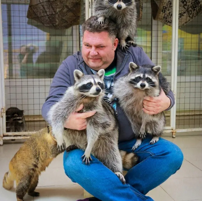 Планета енотов в Москве