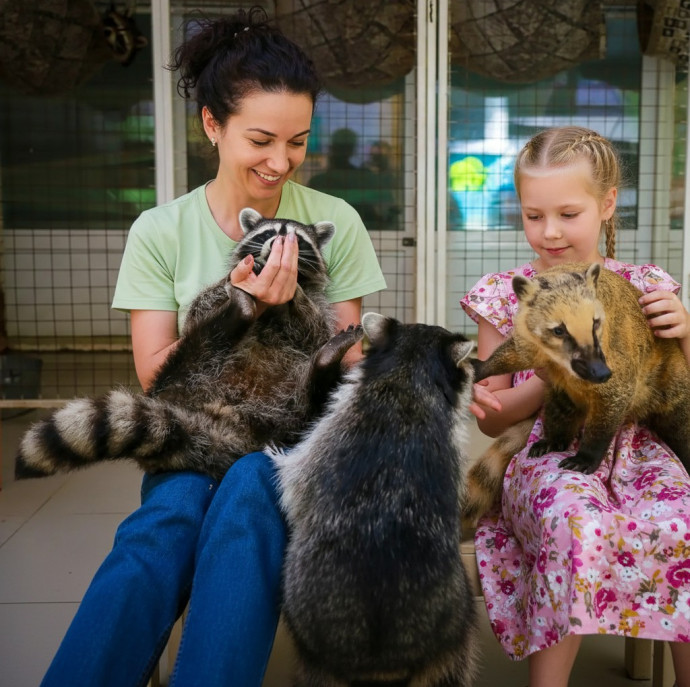 Планета енотов в Москве