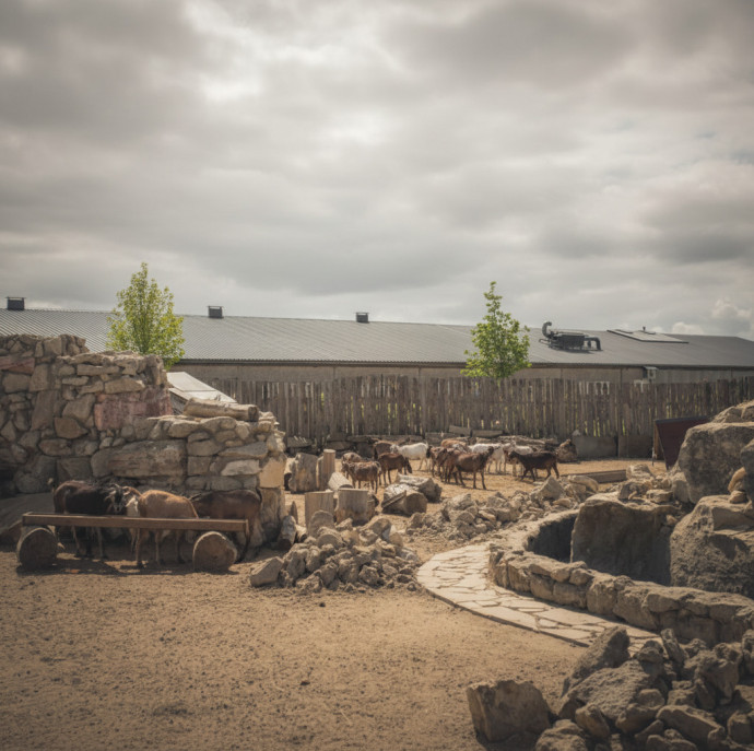 Отдых в юрте в Москве