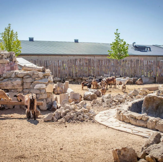 Путешествие подмосковья и Экскурсия по киргизской карте на ферме в Москве