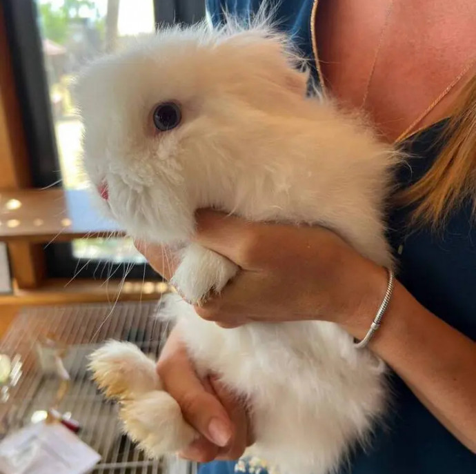 Путешествие подмосковья и Экскурсия по киргизской карте на ферме в Москве