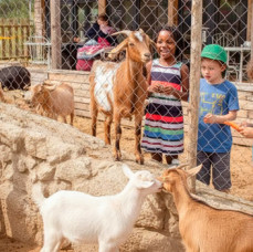 Путешествие подмосковья и Экскурсия по киргизской карте на ферме в Москве