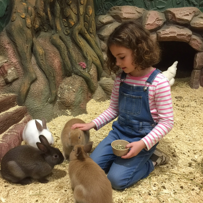 Контактный зоопарк Белый кенгуру в Москве