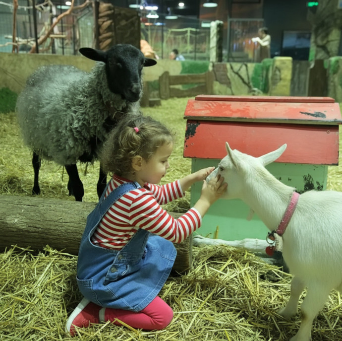 Контактный зоопарк Белый кенгуру в Москве