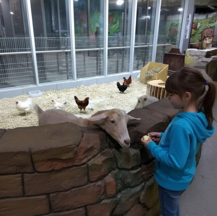 Контактный зоопарк Белый кенгуру в Москве