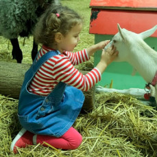 Контактный зоопарк Белый кенгуру в Москве