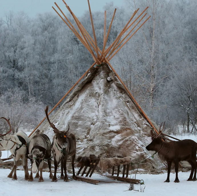 Прогулка в оленьей упряжке в Москве