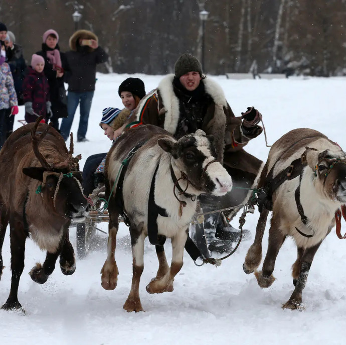 Прогулка в оленьей упряжке в Москве