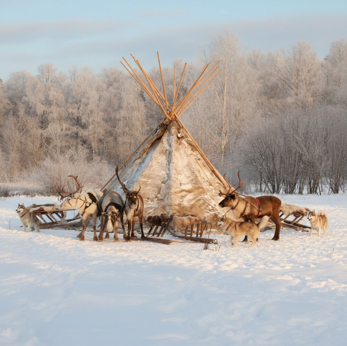 Прогулка в оленьей упряжке в Москве