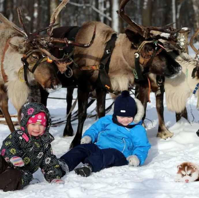 Прогулка в оленьей упряжке в Москве