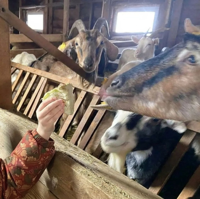 Экскурсия по Экзотик ферме в Москве