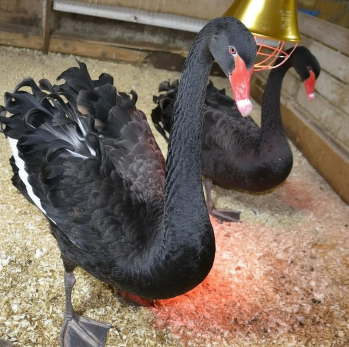 Экскурсия по Экзотик ферме в Москве