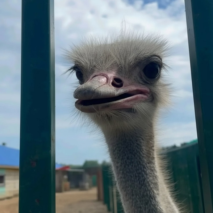 Экскурсия по Экзотик ферме в Москве