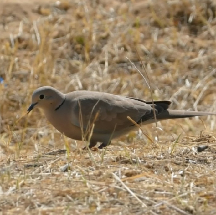 Экскурсия по Экзотик ферме в Москве