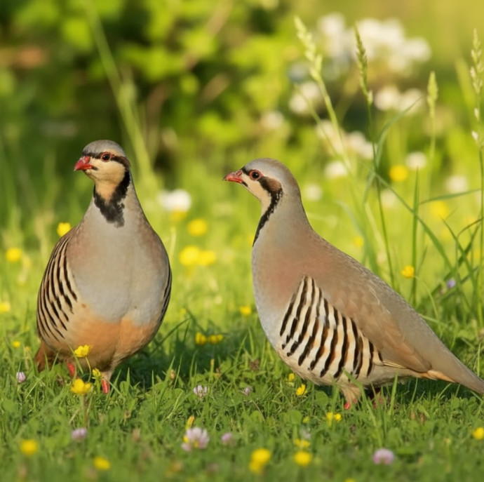 Экскурсия по Экзотик ферме в Москве