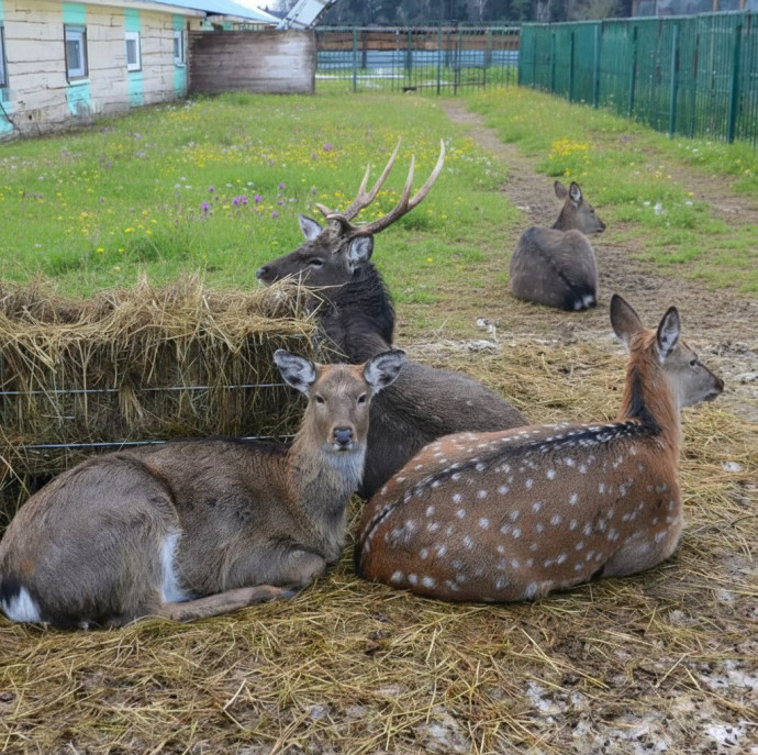 Экскурсия по Экзотик ферме в Москве