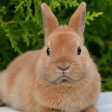 Экскурсия по Экзотик ферме в Москве