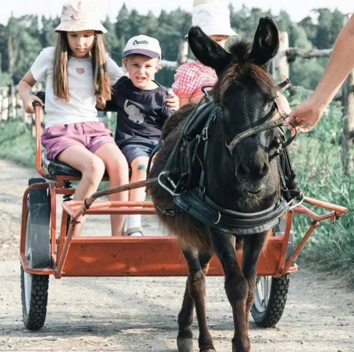 Пони клуб для детей в Москве