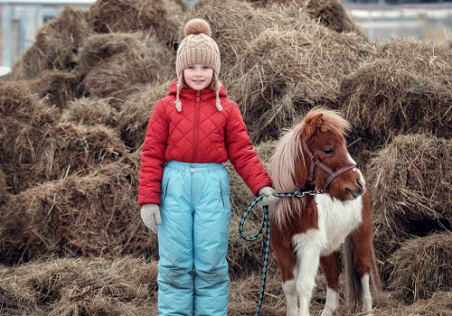 Пони клуб для детей в Москве