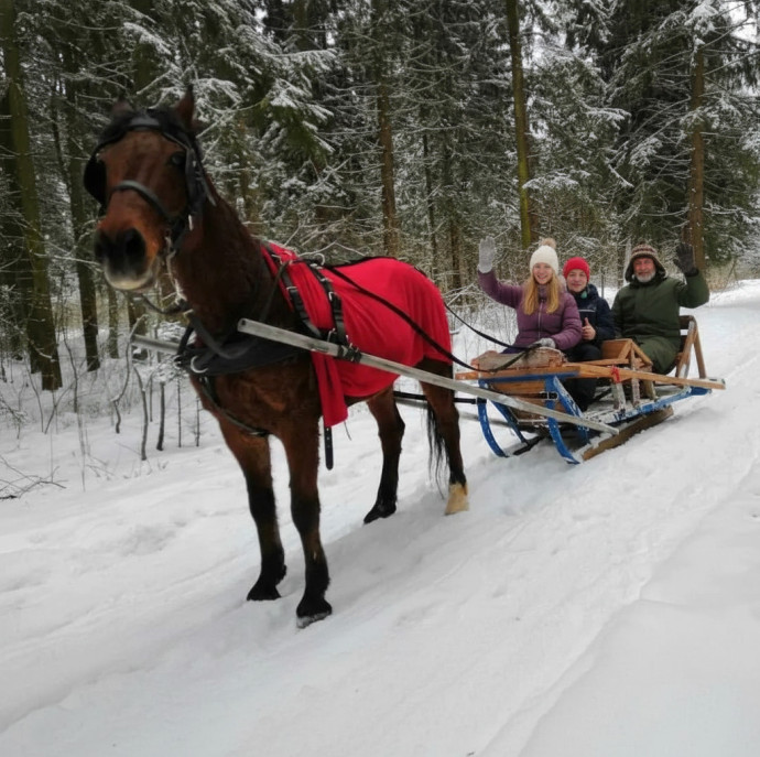 Конные прогулки в Москве
