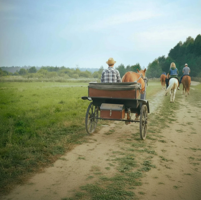 Конные прогулки в Москве