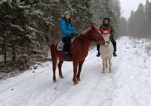 Конные прогулки в Москве
