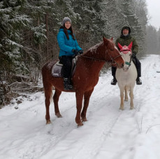 Конные прогулки в Москве