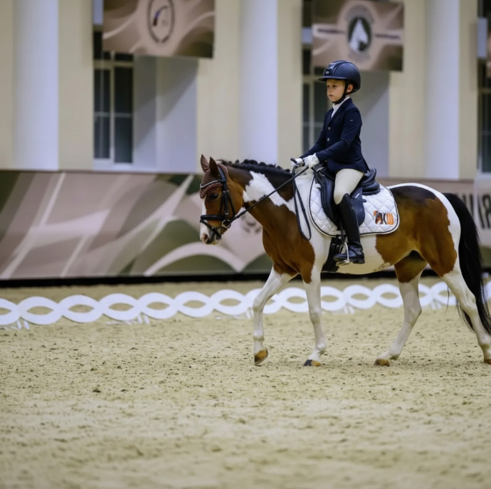 Занятия по верховой езде в Москве