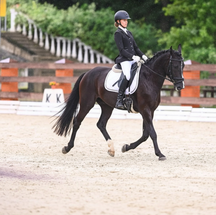 Занятия по верховой езде в Москве