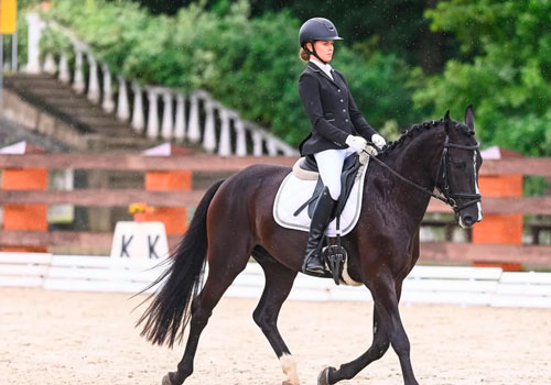 Занятия по верховой езде в Москве