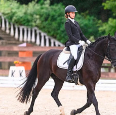 Занятия по верховой езде в Москве