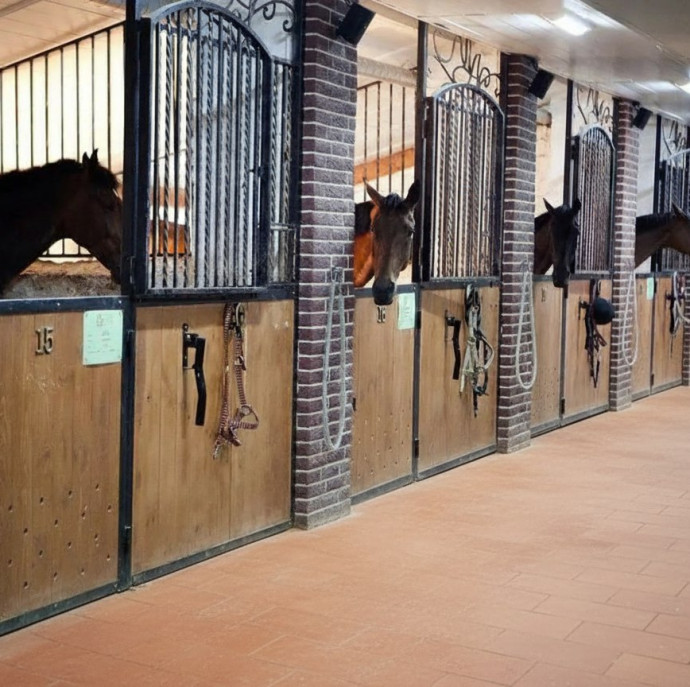 Экскурсия по конюшне в Москве