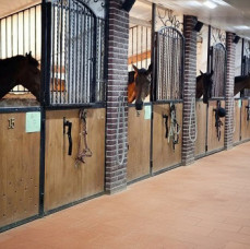 Экскурсия по конюшне в Москве