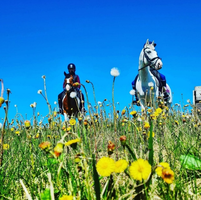 Конная прогулка по территории парка Русь в Москве