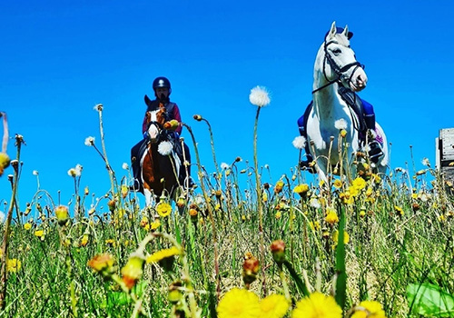 Конная прогулка по территории парка Русь в Москве