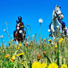 Конная прогулка по территории парка Русь в Москве