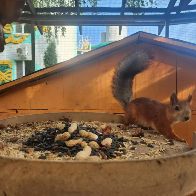 Путешествие в Волшебную страну для семьи в Москве