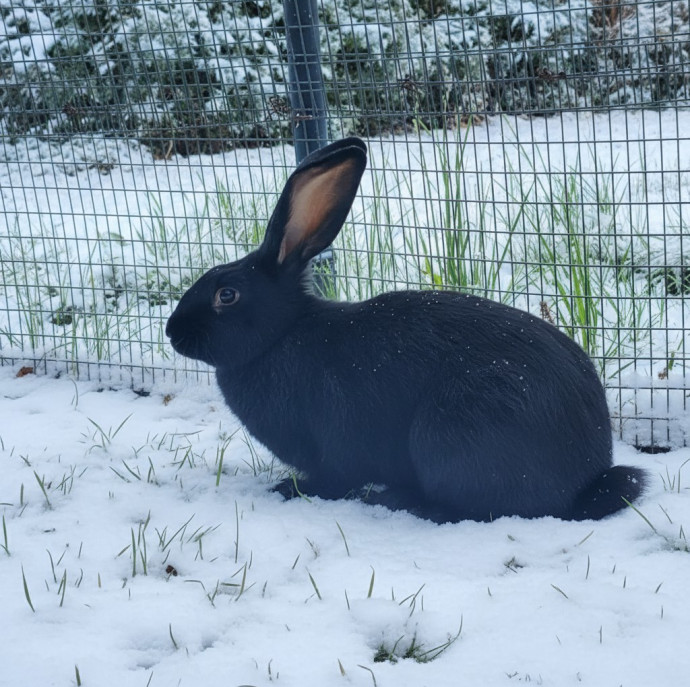 Путешествие в Волшебную страну для семьи в Москве