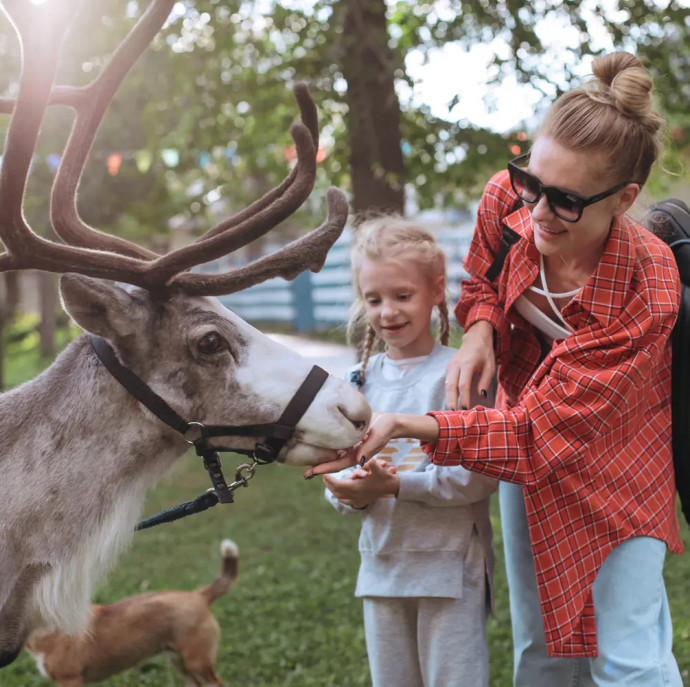 Городская ферма на ВДНХ в Москве