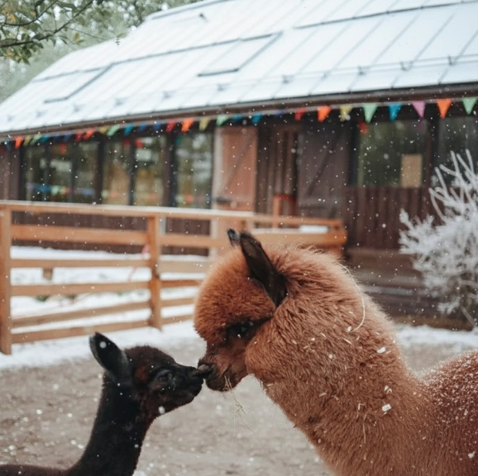 Городская ферма на ВДНХ в Москве