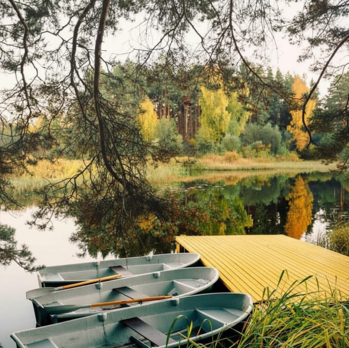 Отдых всё включено в Вили Улей в Москве