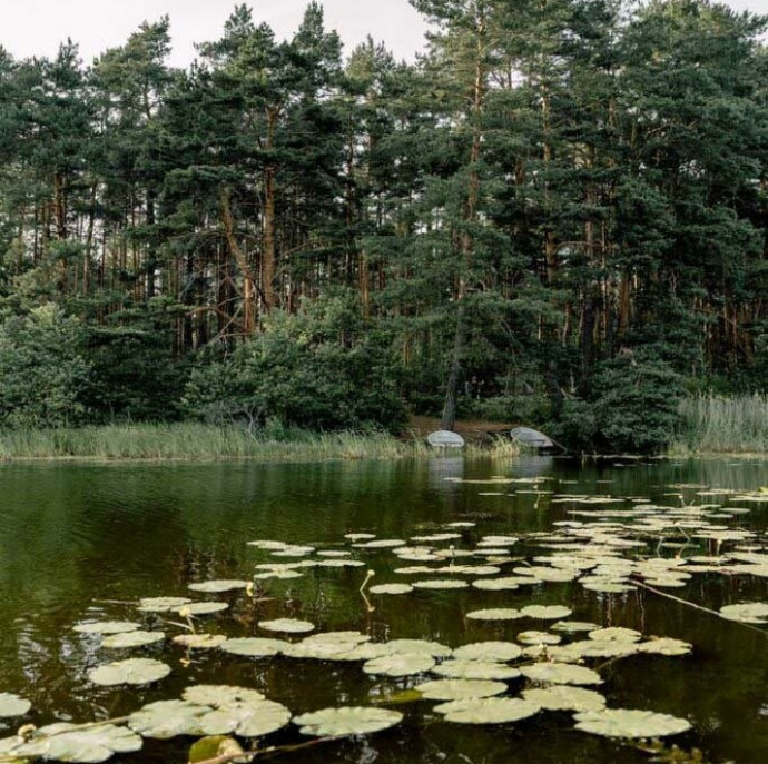 Отдых всё включено в Вили Улей в Москве