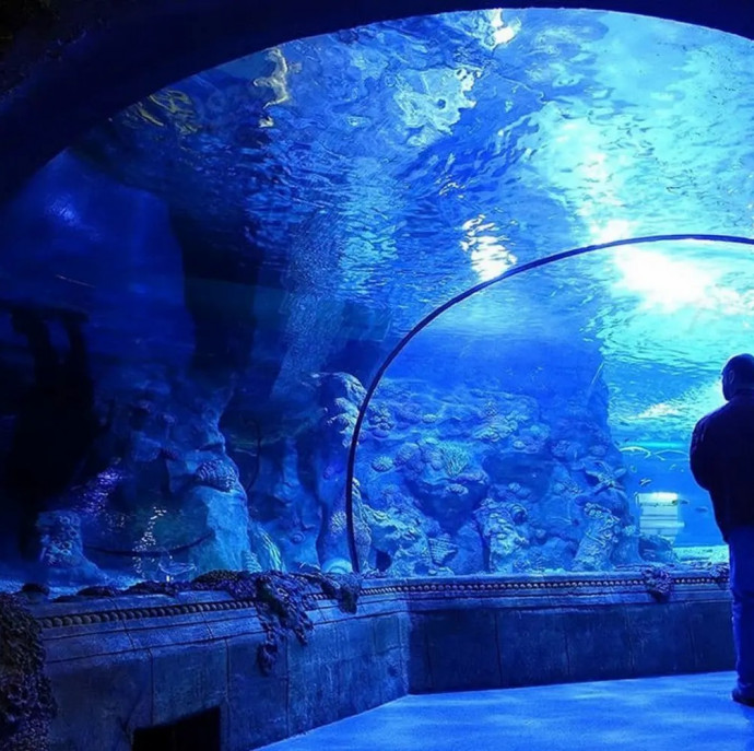 Посещение Океанариума в Москве