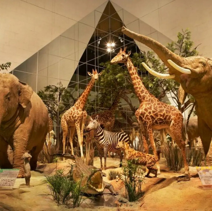 Дарвиновский музей в Москве